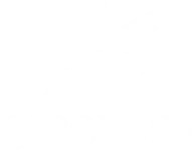 Capoferri