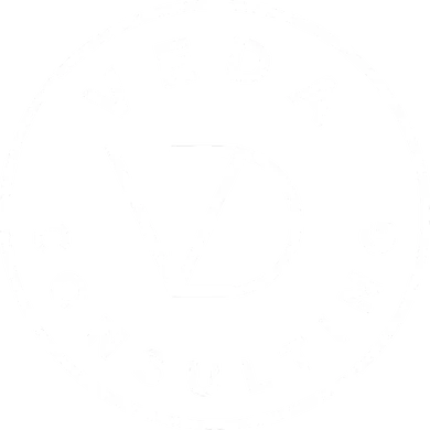 Veda Consulting